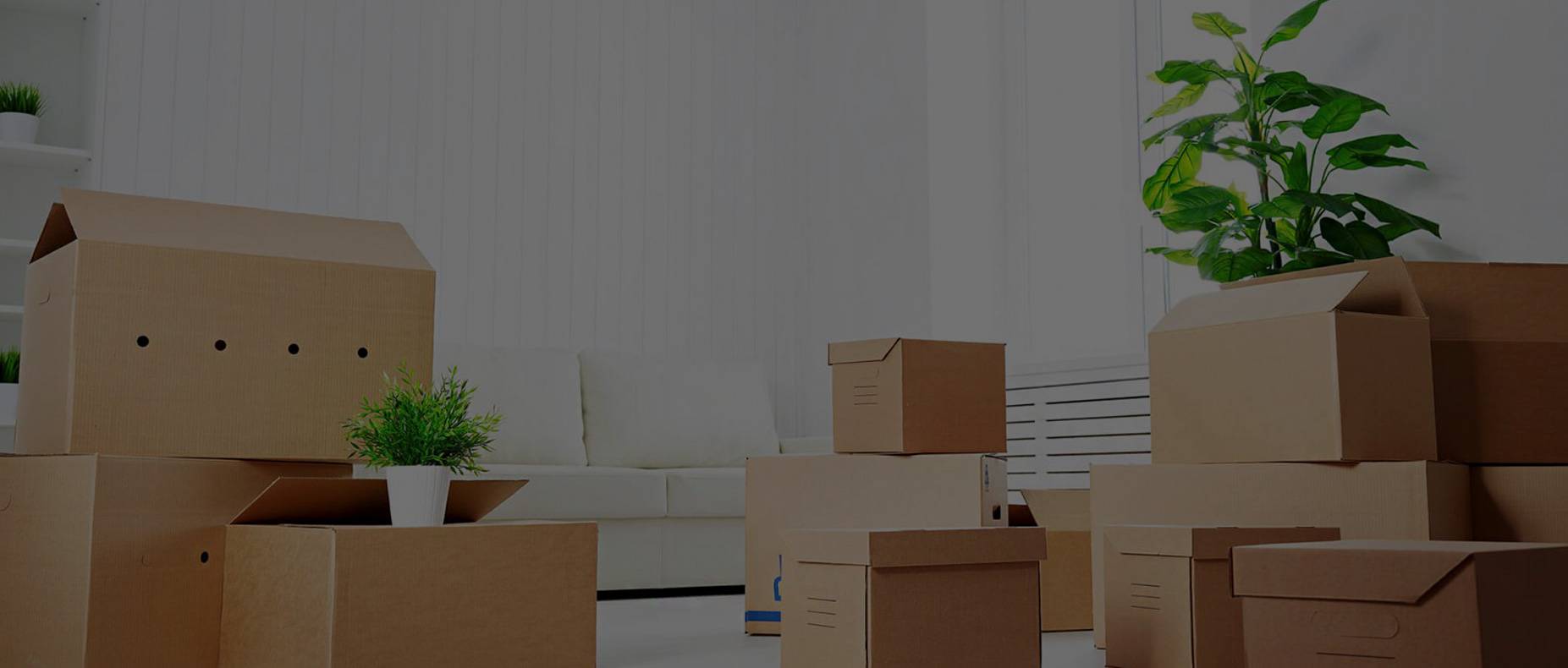 Budget Removalist Melbourne